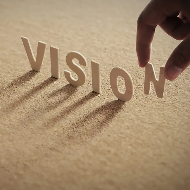 Our Vision